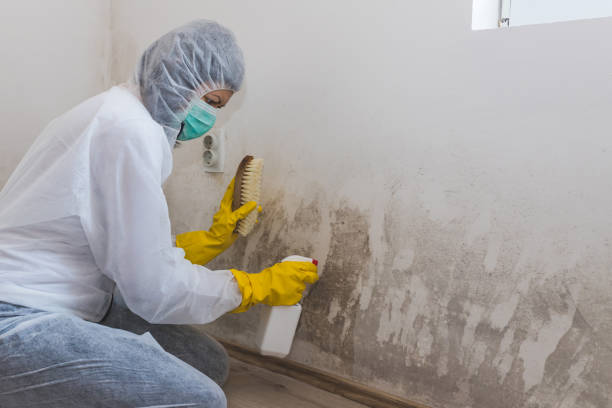 Water Damage Restoration in South Point, OH